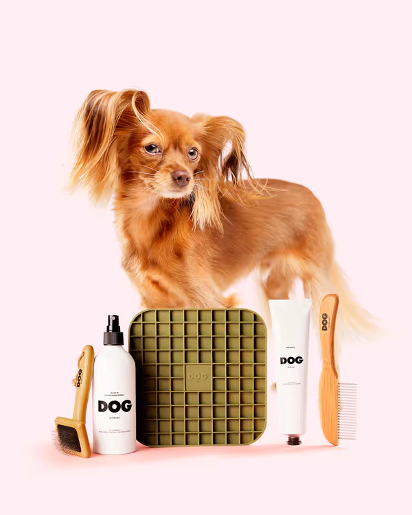 DOG by Dr Lisa
